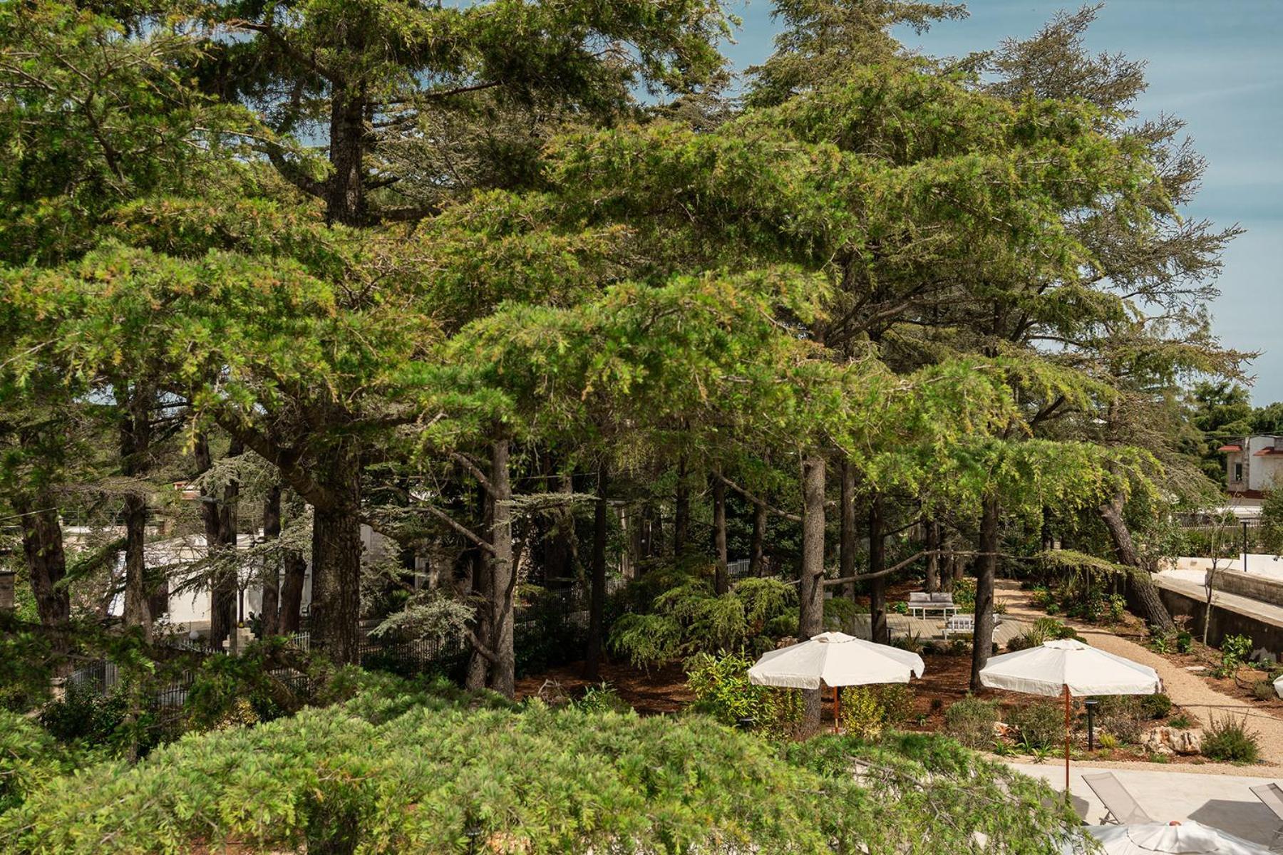 Borgo Lucia Villa Селва ди Фасано Екстериор снимка